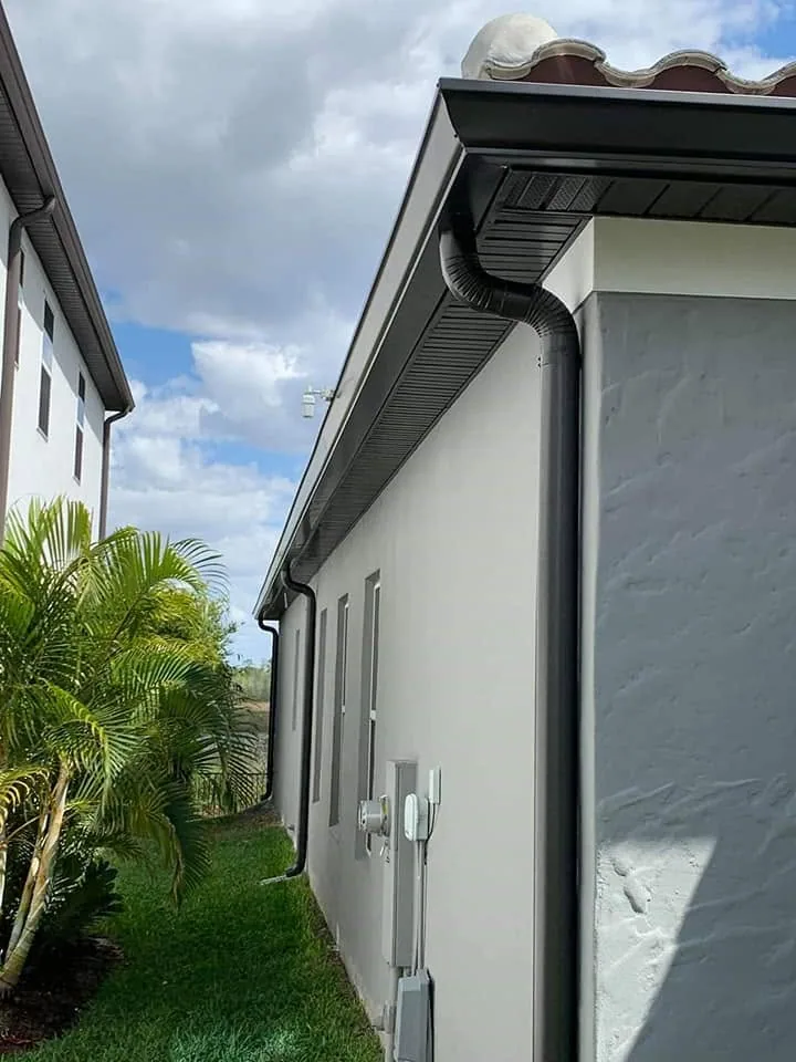 Dark bronze round downspout gray stucco side yard palms, Lake Mary